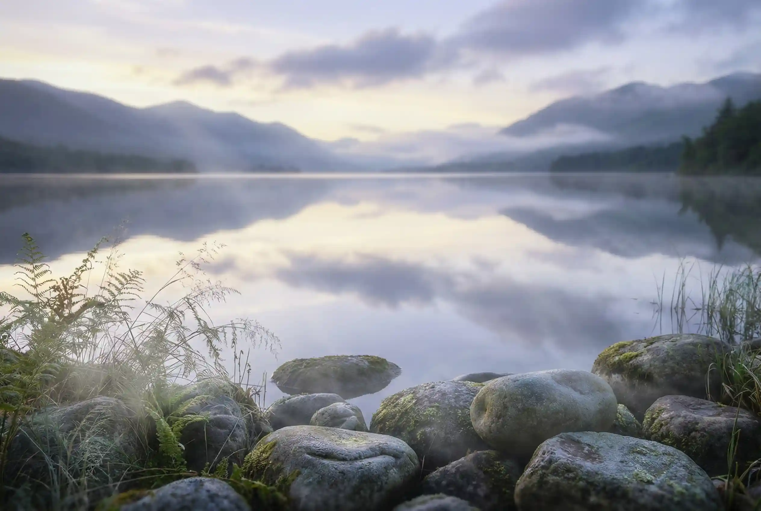 عرقیجات آرامش بخش